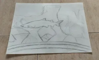 Dibujo a lápiz antiguo: Tiburón