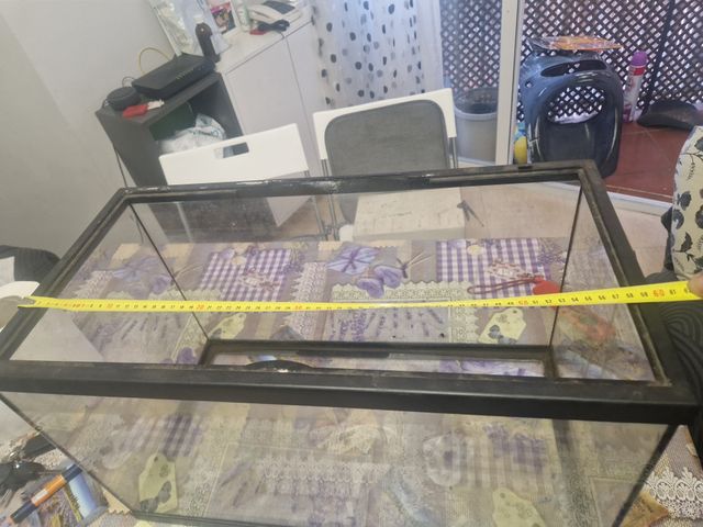 Acuario terrario de cristal