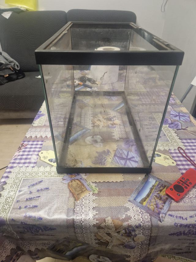 Acuario terrario de cristal