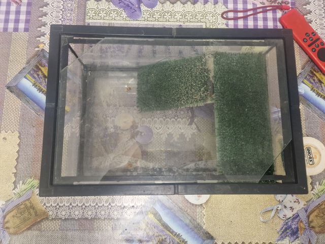 Acuario terrario cristal y plástico