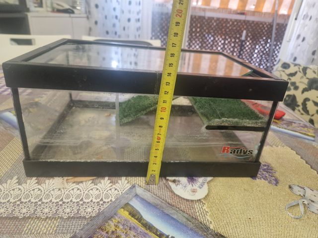 Acuario terrario cristal y plástico