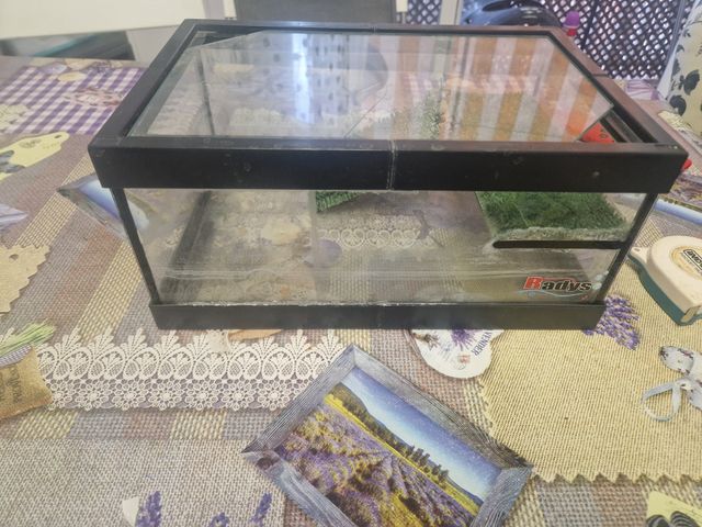 Acuario terrario cristal y plástico