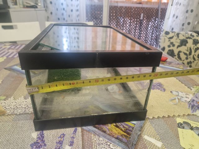 Acuario terrario cristal y plástico