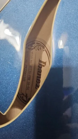 Cambio por electroacústica de cuerdas de nylon