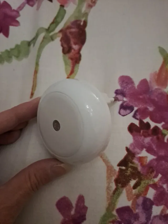 Luz de compañía roja