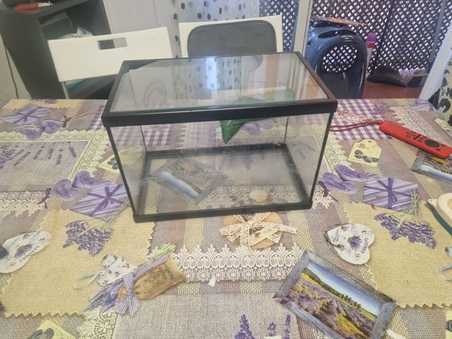 Acuario terrario cristal y plástico