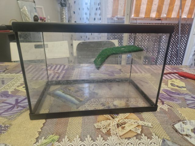 Acuario terrario cristal y plástico