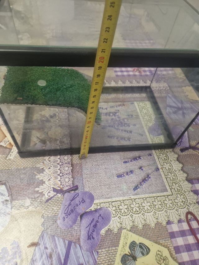 Acuario terrario cristal y plástico