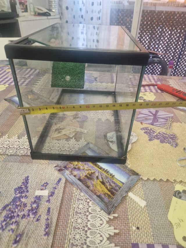 Acuario terrario cristal y plástico