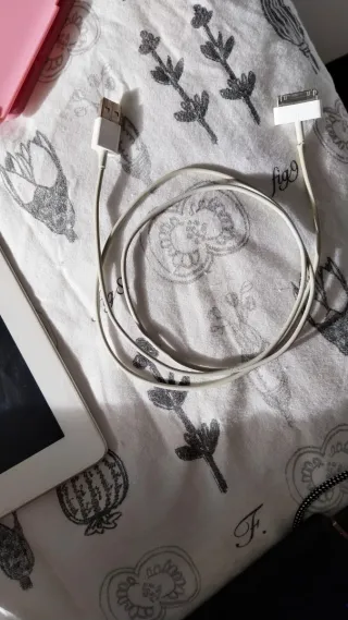 iPad 1ª Gen. Blanco 16G