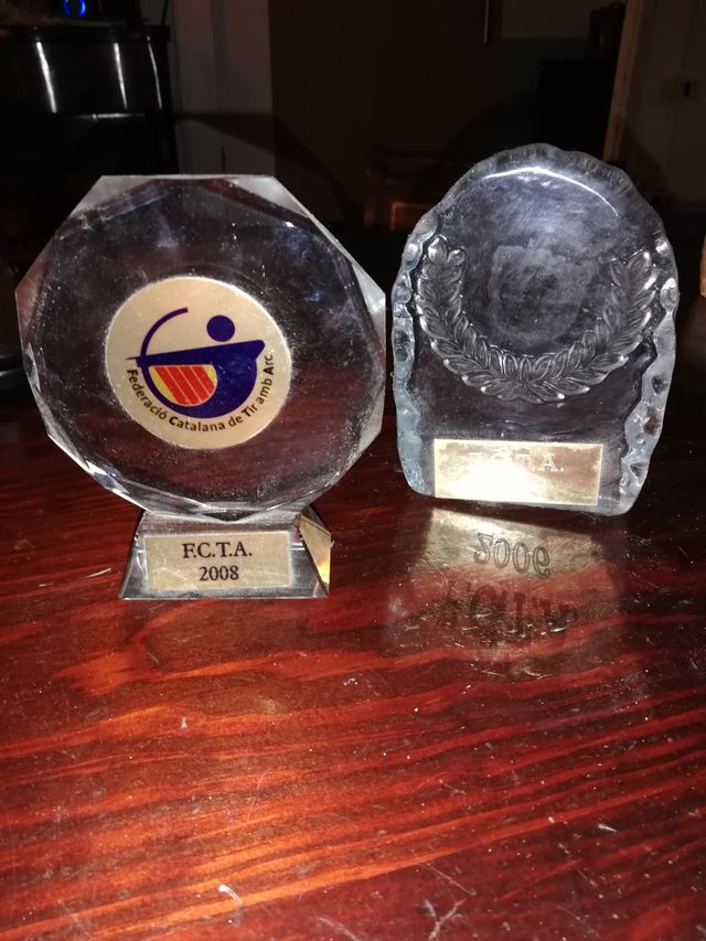 Lote de Trofeos Variados