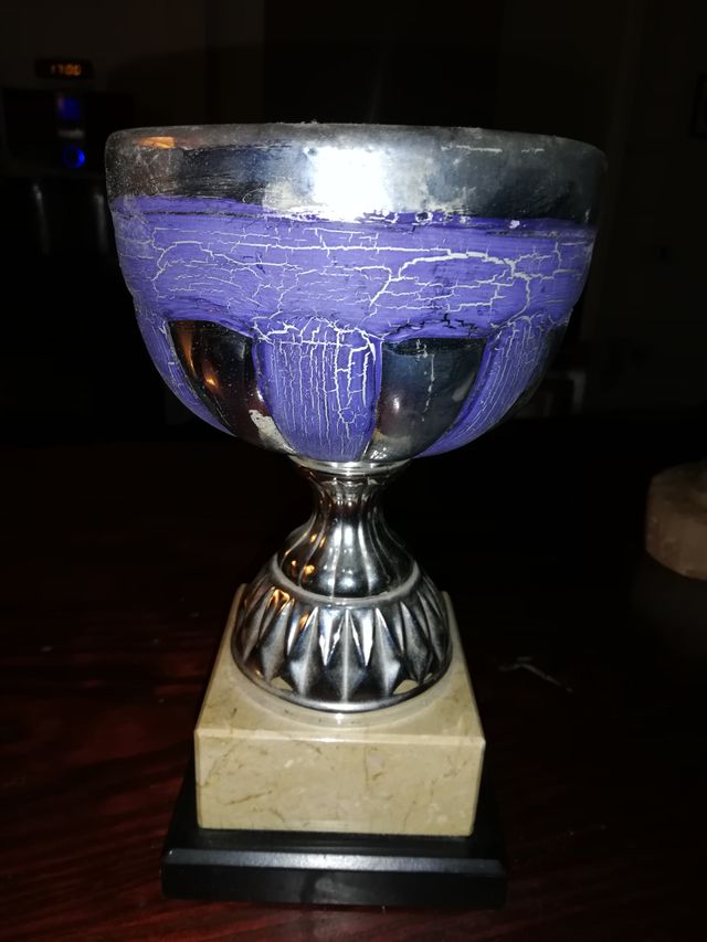 Lote de Trofeos Variados