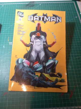 Batman y Robin Cómic DC