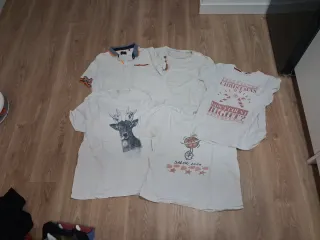 Lote ropa variada (24 prendas) hombre