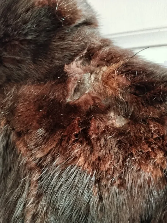 Chaquetón de pelo marrón