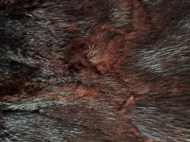 Chaquetón de pelo marrón