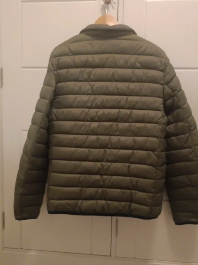 Abrigo Springfield verde hombre