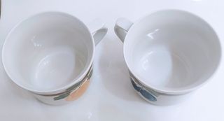 Coppia Tazze Porcellana Fine Boemia