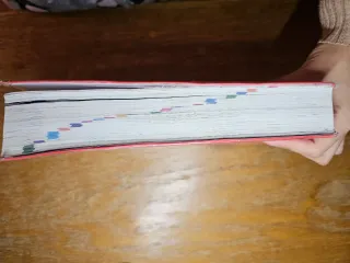 Diccionario Básico Primaria. Lengua española