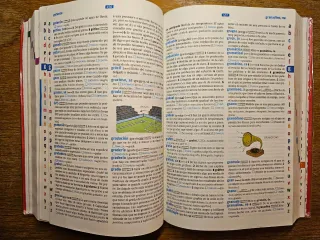 Diccionario Básico Primaria. Lengua española