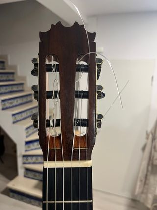 Guitarra Amplificada Antonio de toledo