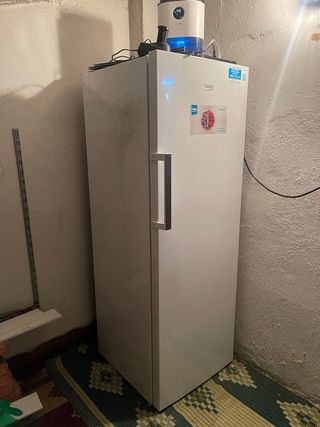 Congelador vertical Beko No Frost