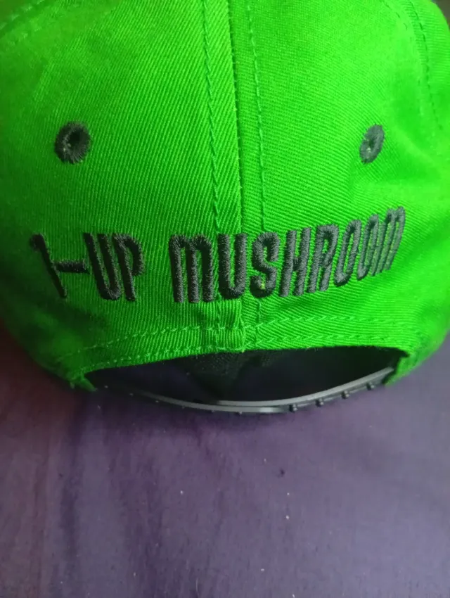 Super Mario Bros Get A Life Nintendo