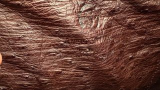 Bolso piel avestruz marrón