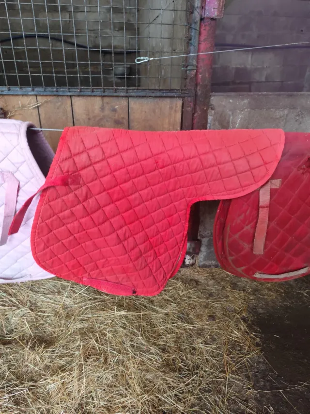 Sudadero de montar a caballo acolchado