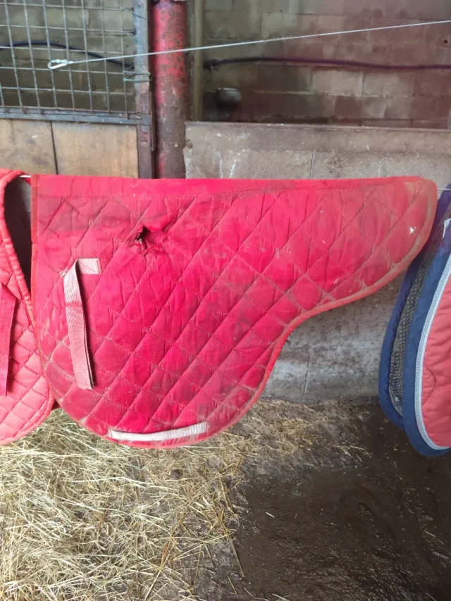 Sudadero ecuestre rojo con rotura