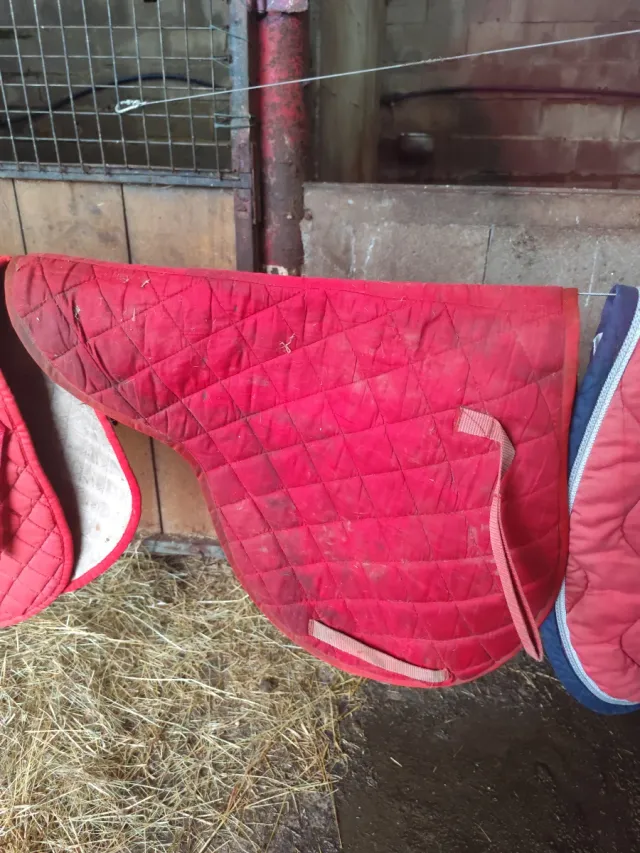 Sudadero ecuestre rojo con rotura