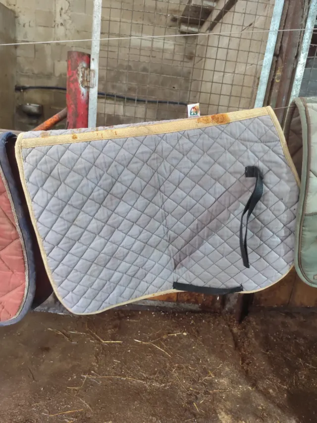 Sudadero de montar a caballo acolchado