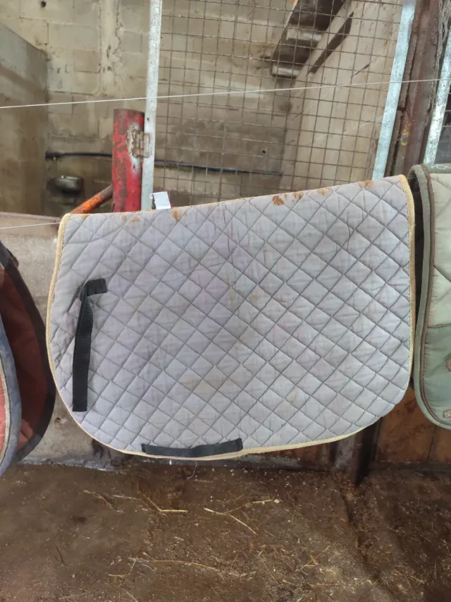 Sudadero de montar a caballo acolchado