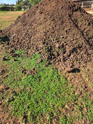 Sacos de estiércol ecológico