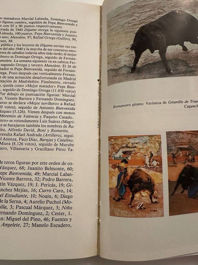 HISTORIA ILUSTRADA DE LA TAUROMAQUIA