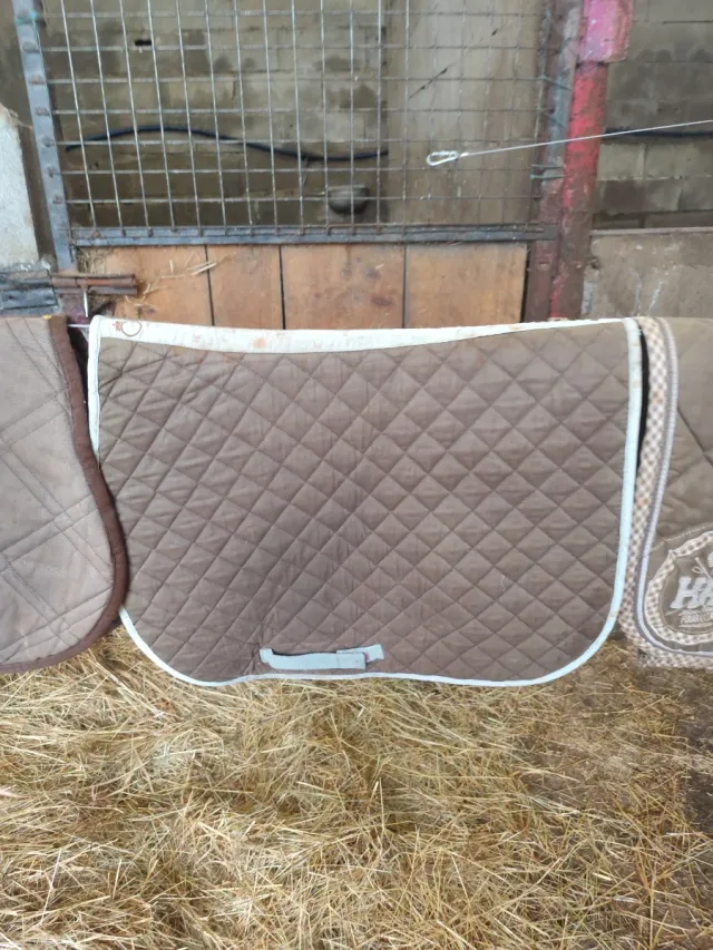 Sudadero acolchado para montar a caballo