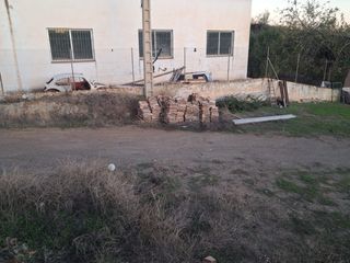 Tejas antiguas de barro (0,50 unidad)