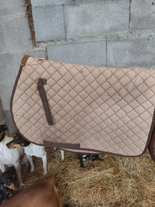 Sudadero acolchado para montar a caballo