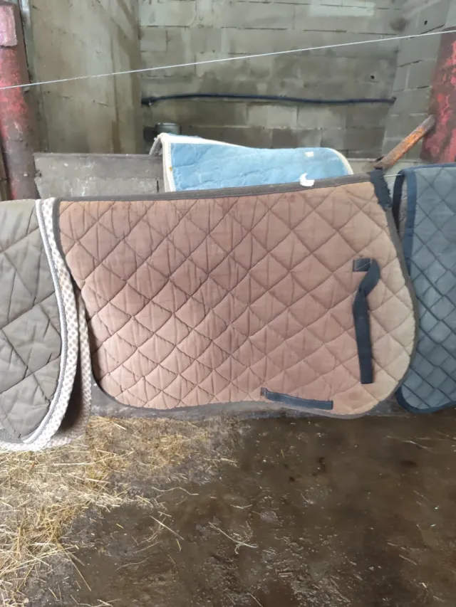 Sudadero de montar a caballo acolchado