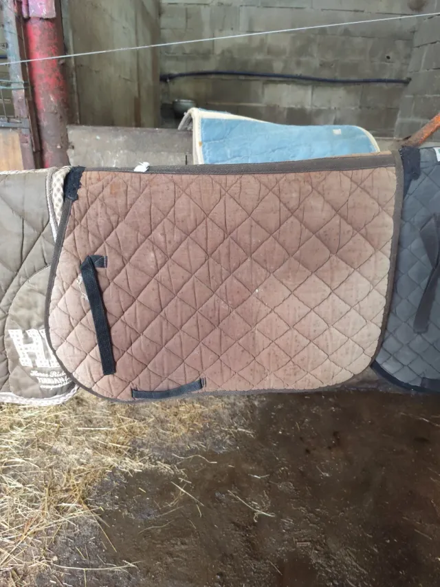 Sudadero de montar a caballo acolchado