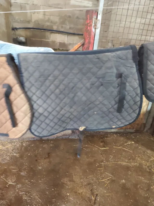 Sudadero acolchado para montar a caballo