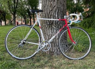 Bicicleta Raleigh Equipe Carretera