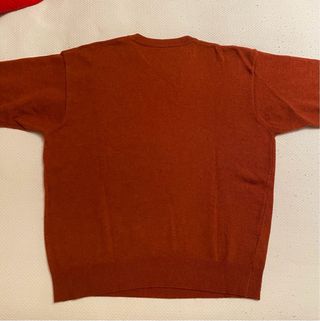 Jersey Lacoste Vintage Color Teja