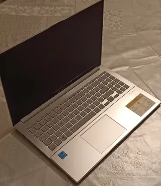ASUS Vivobook Go 15 Argento