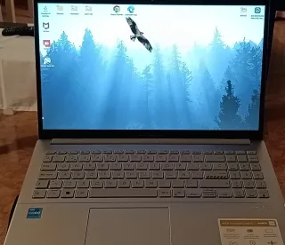 ASUS Vivobook Go 15 Argento