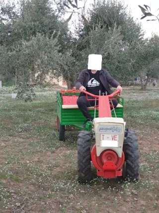 TRANSFERIBLE Pasquali 946