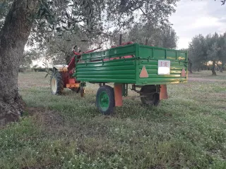 TRANSFERIBLE Pasquali 946