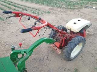 TRANSFERIBLE Pasquali 946