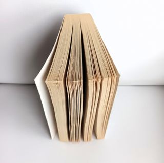 The Brass Verdict (ENGLISH) (Inglés)