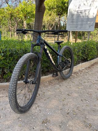 Trek Roscoe 8 2024